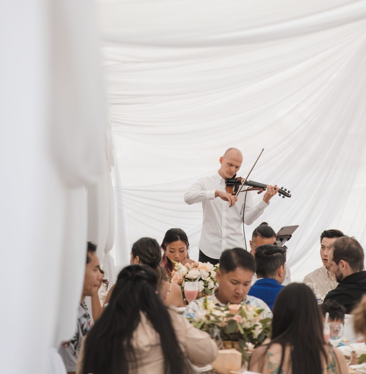 Anton playing electric violin at a wedding reception